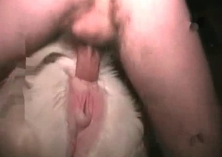 Rough anal fuck with a beast
